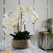 Load image into Gallery viewer, Extra large white potted faux orchid in a wide stone pot
