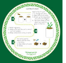 Indlæs billede til gallerivisning Frida's Flowers. Eco grow your Own plant, gardening kit.