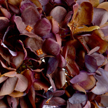 Indlæs billede til gallerivisning Coffee-tone faux hydrangea