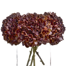 Indlæs billede til gallerivisning Coffee-tone faux hydrangea