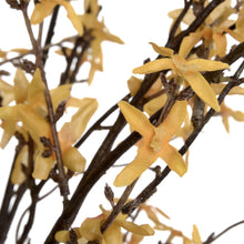 Charger l'image dans la galerie, Faux yellow forsythia branches
