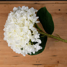 Indlæs billede til gallerivisning Oversized white faux hydrangea