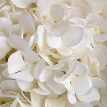 Indlæs billede til gallerivisning Oversized white faux hydrangea
