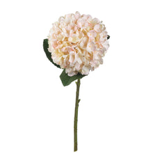 Indlæs billede til gallerivisning Cream faux hydrangea