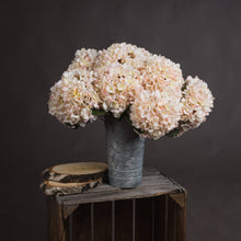 Indlæs billede til gallerivisning Cream faux hydrangea