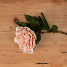 Indlæs billede til gallerivisning Peach faux peony rose
