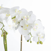 Load image into Gallery viewer, Extra large white potted faux orchid in a wide stone pot