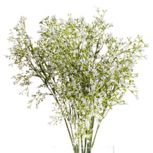 Carica l'immagine nel visualizzatore di Gallery, White faux gypsophila spray