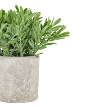 Lade das Bild in den Galerie-Viewer, Buxus faux plant In stone effect pot