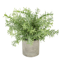 Carica l'immagine nel visualizzatore di Gallery, Faux Rosemary plant In stone effect pot
