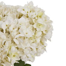 Indlæs billede til gallerivisning Faux Hydrangea bunch in three colours