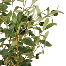 Indlæs billede til gallerivisning Calabria faux olive trees in three sizes