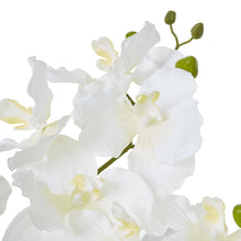 Indlæs billede til gallerivisning White potted faux orchid & fern in a ceramic pot