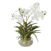 Indlæs billede til gallerivisning White potted faux orchid & fern in a ceramic pot