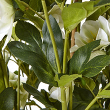Charger l'image dans la galerie, Close-up of large white faux hellebore leaves and stems in a grey pot, showcasing realistic details.