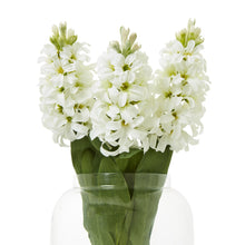 Indlæs billede til gallerivisning Hyacinth faux stems in four colours