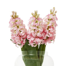 Indlæs billede til gallerivisning Hyacinth faux stems in four colours