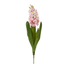 Indlæs billede til gallerivisning Hyacinth faux stems in four colours