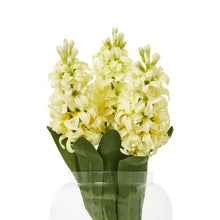 Indlæs billede til gallerivisning Hyacinth faux stems in four colours