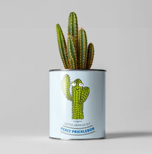 Indlæs billede til gallerivisning Percy Pricklebum. Eco grow your Own plant, gardening kit.