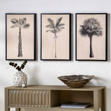 Indlæs billede til gallerivisning Set of three natural & black palm tree print framed canvases