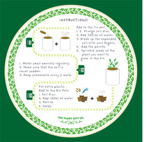 Indlæs billede til gallerivisning Percy Pricklebum. Eco grow your Own plant, gardening kit.