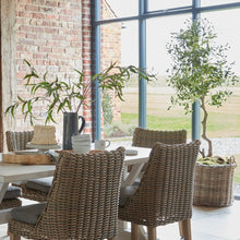Indlæs billede til gallerivisning Calabria faux olive trees in three sizes
