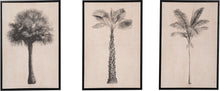 Indlæs billede til gallerivisning Set of three natural & black palm tree print framed canvases