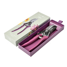 Charger l'image dans la galerie, RHS endorced asteraceae secateur