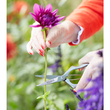 Charger l'image dans la galerie, A person using secateurs to cut a flower stem, showcasing precision and comfort in gardening.