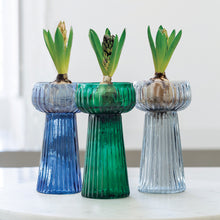 Carica l'immagine nel visualizzatore di Gallery, Ribbed Hyacinth vase