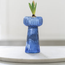 Carica l'immagine nel visualizzatore di Gallery, Ribbed Hyacinth vase