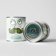 Indlæs billede til gallerivisning Mr. Herbyhead. Eco grow your Own plant, gardening kit.