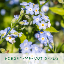 Afbeelding in Gallery-weergave laden, Seeds of Love. Eco grow your Own plant, gardening kit.