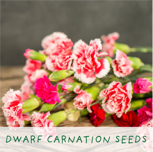 Afbeelding in Gallery-weergave laden, Seeds of Love. Eco grow your Own plant, gardening kit.