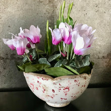 Charger l'image dans la galerie, Potted faux Cyclamen