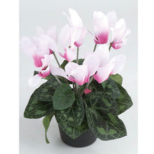 Charger l'image dans la galerie, Potted faux Cyclamen