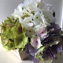 Indlæs billede til gallerivisning Green faux hydrangea stem