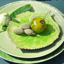 Afbeelding in Gallery-weergave laden, leaf plate in green with round lates under and fruits on the plate, on a blue background