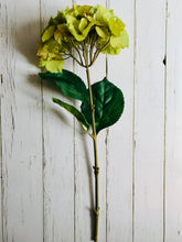 Indlæs billede til gallerivisning Green faux hydrangea stem