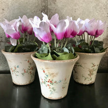 Charger l'image dans la galerie, Potted faux Cyclamen