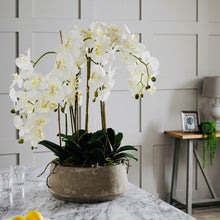 Load image into Gallery viewer, Extra large white potted faux orchid in a wide stone pot
