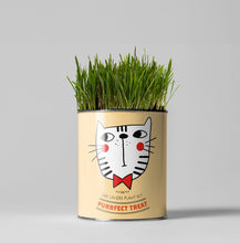 Load image into Gallery viewer, Purrfect Treat. Eco grow your Own plant, gardening kit.
