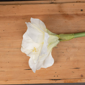 Faux white Amaryllis flower