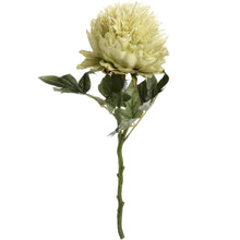 Load image into Gallery viewer, Green faux peony
