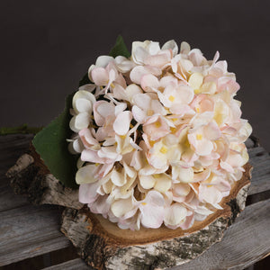 Cream faux hydrangea