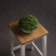 Indlæs billede til gallerivisning Small faux hebe veronica in a stone pot
