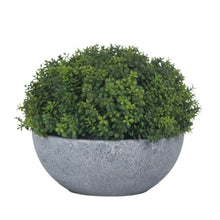 Indlæs billede til gallerivisning Small faux hebe veronica in a stone pot
