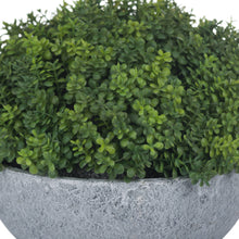 Load image into Gallery viewer, Small faux hebe veronica in a stone pot
