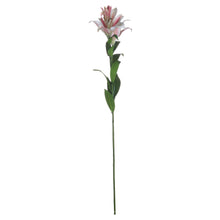 Charger l&#39;image dans la galerie, Faux Stargazer lily in pink &amp; white
